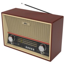 Радиоприемник портативный Ritmix RPR-102 buk