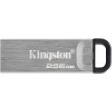 USB- Flash Kingston 256Gb, DataTraveler Duo, USB3.2 Gen 1, DTKN/256GB, Silver