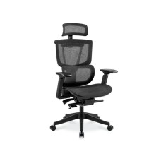 Эргономичное кресло FLEXISPOT C7B-mesh Black <Сетка, подлокотник 4D, газлифт 4>