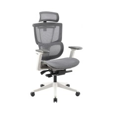 Эргономичное кресло FLEXISPOT C7WG-Mesh-FT W/G <Сетка, подлокотник 4D,газлифт 4, держатель для ног>