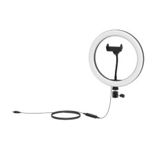 Кольцевая лампа Ritmix RRL-261 черный