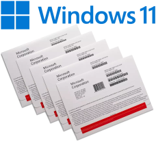 Win 11 Pro 64Bit Russian 1pk DSP OEI Kazakhstan Only DVD