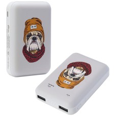 Аккумуляторная USB зарядка Ritmix RPB-10007 Bulldog, 10000 mAh power bank, 2*2.1A, microUSB