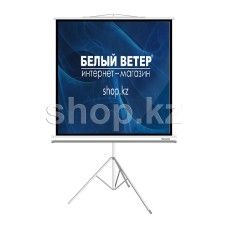 Экран на треноге Deluxe DLS-T203xW