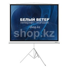 Экран на треноге Deluxe DLS-T244x183W