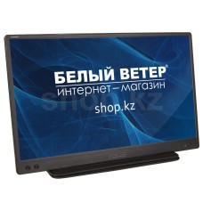 Монитор 15.6" ASUS ZenScreen MB166C, Black