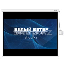 Экран моторизованный Deluxe DLS-ERC274x206W
