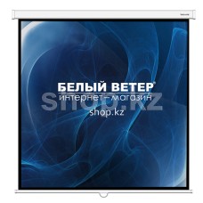 Экран настенный Deluxe DLS-M305W