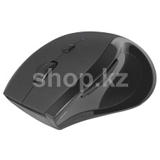 Мышь Defender Accura MM-295, Black, USB