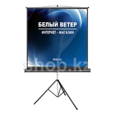 Экран на треноге Deluxe DLS-T153x
