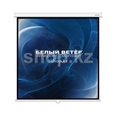 Экран настенный Deluxe DLS-M244W