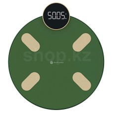 Весы Haylou Smart Scale CM01
