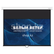 Экран настенный Deluxe DLS-M221x121W