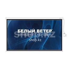 Экран моторизованный Deluxe DLS-ERC350x270W