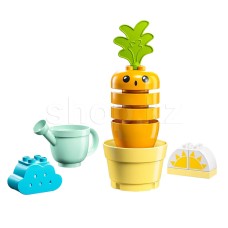 Конструктор Lego, Duplo: Выращиваем морковку