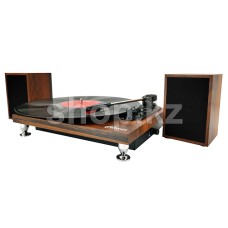 Проигрыватель виниловых пластинок Ritmix LP-280, Buk