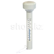 Термометр для бассейна Bestway Flowclear 58072
