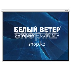 Экран настенный Deluxe DLS-M203x153W