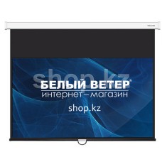 Экран настенный Deluxe DLS-M300x180W