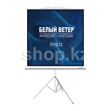 Экран на треноге Deluxe DLS-T180xW