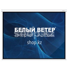 Экран моторизованный Deluxe DLS-ERC203xW