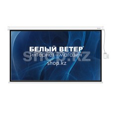 Экран моторизованный Deluxe DLS-ERC265x149W
